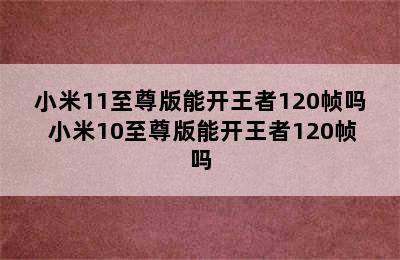 小米11至尊版能开王者120帧吗 小米10至尊版能开王者120帧吗